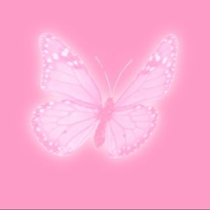 Meet your Posher, Tamara